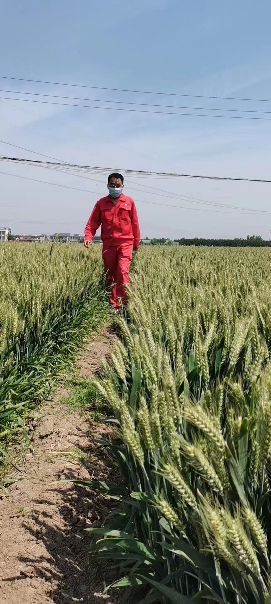 用心守護管道安全，全力保障豫北能源“生命線”——安彩能源開展安全檢查百里行主題黨日活動